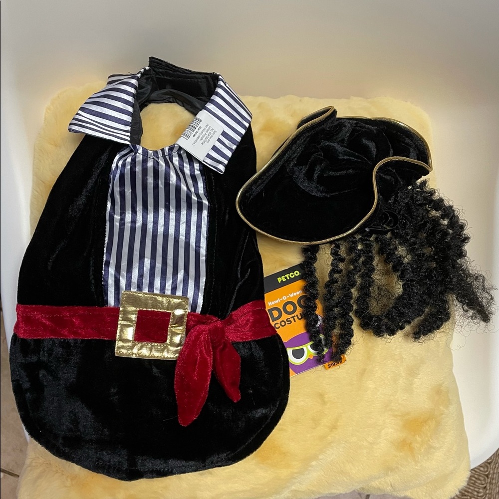 Pirate dog costume